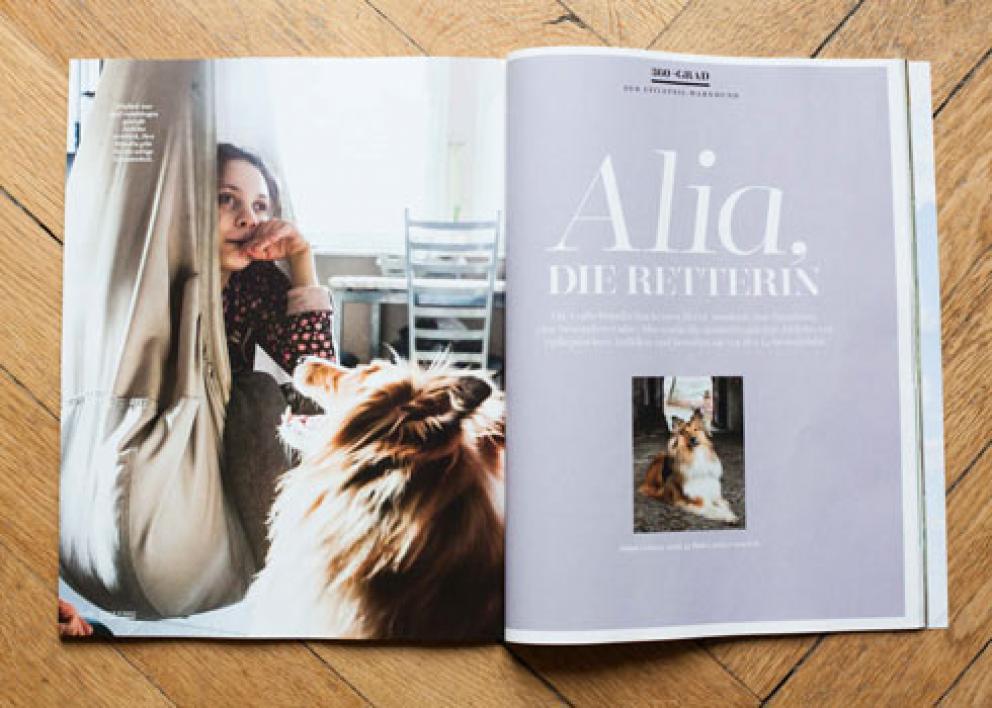 Dogs Magazin 02/2017